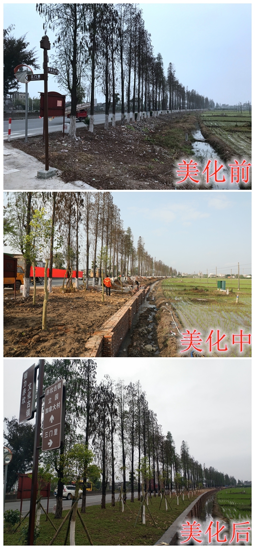下载 (7).jpg