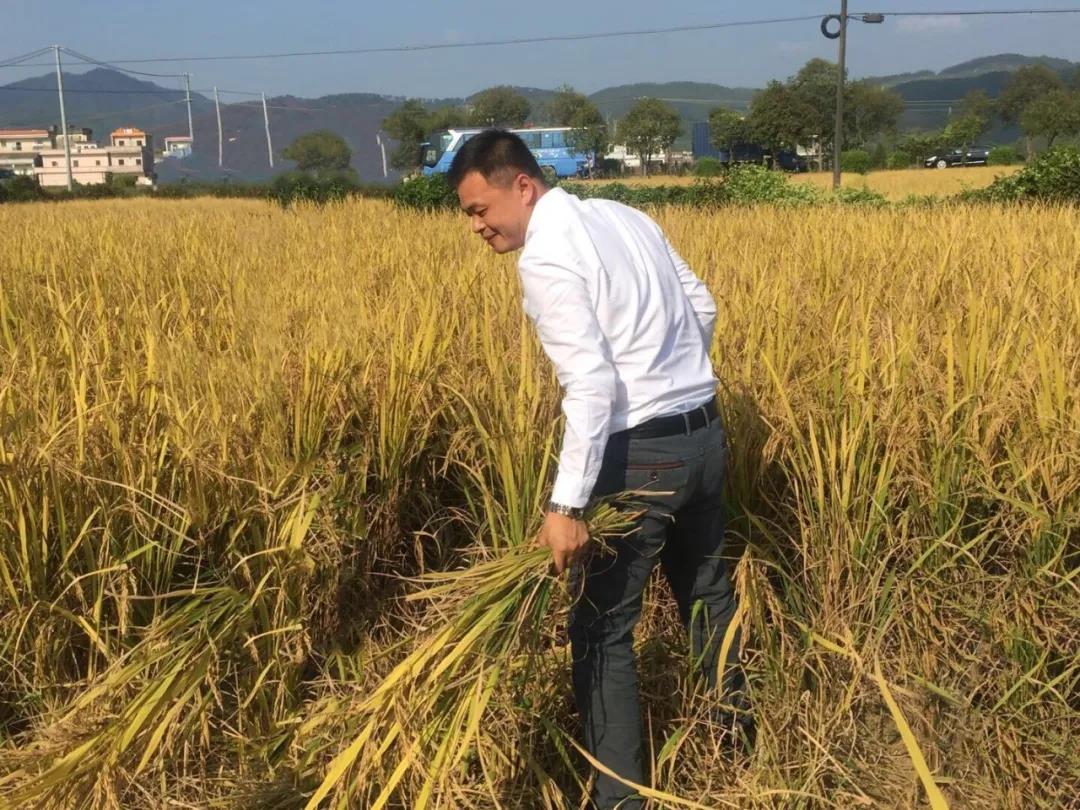 谢沃根积极参与乡村建设，保护与开发旧村落，带动村民增收致富，助力乡村振兴