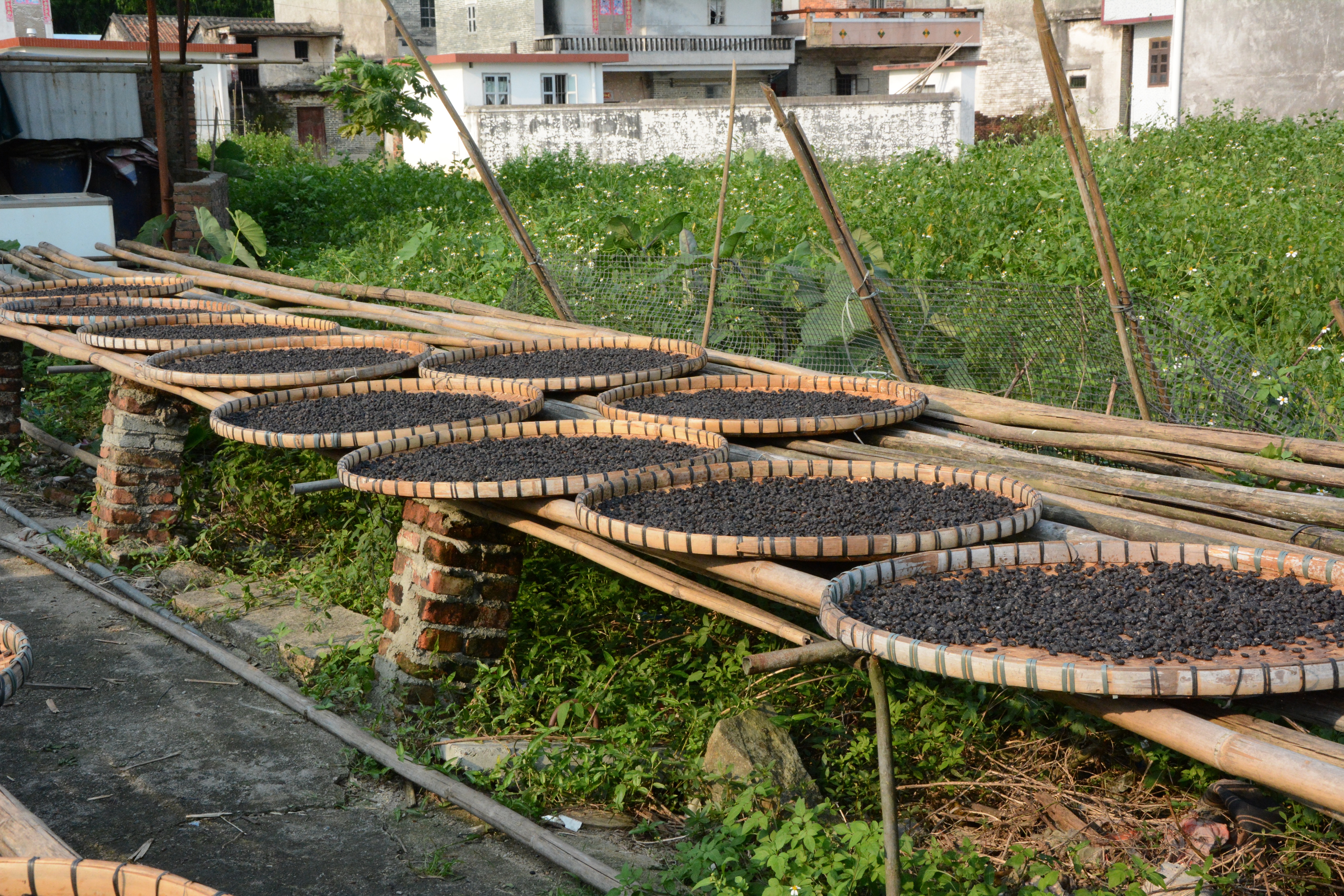 3龙胜豆豉工坊.JPG