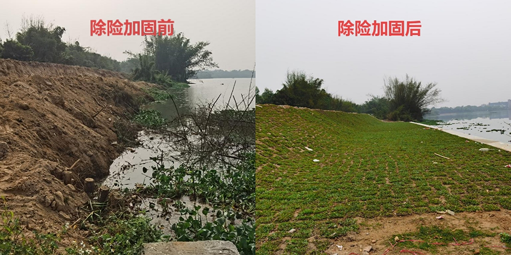 5百合镇新盛堤除险加固前后对比.jpg