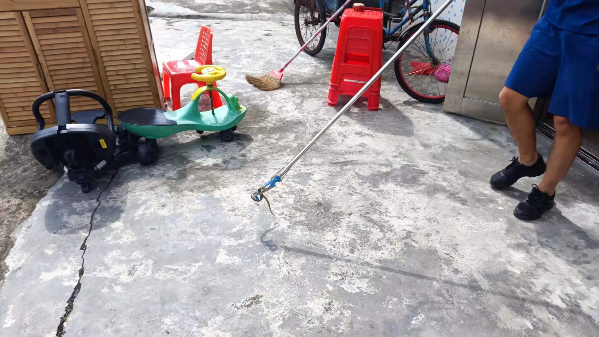 2成功将蛇赶离群众屋子.jpg