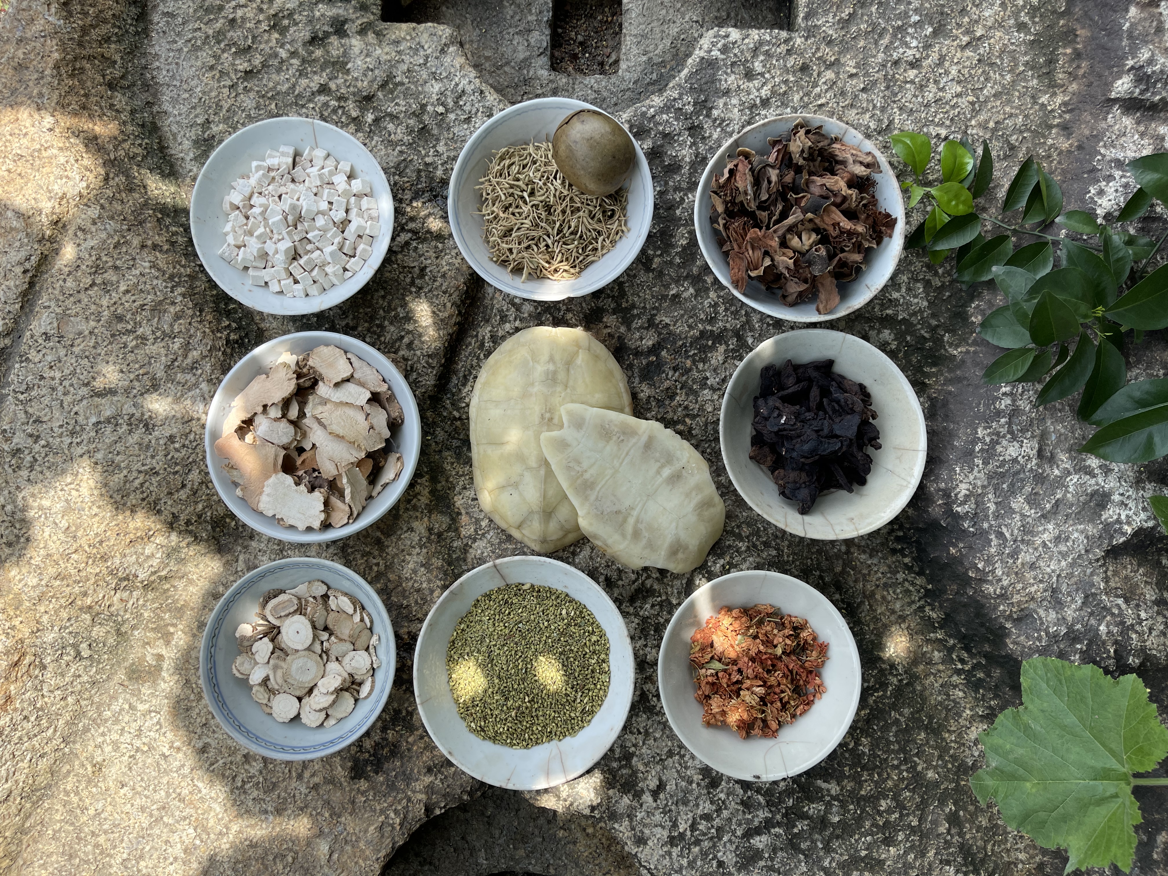 2洪玄堂龟苓膏秘方配料.jpg