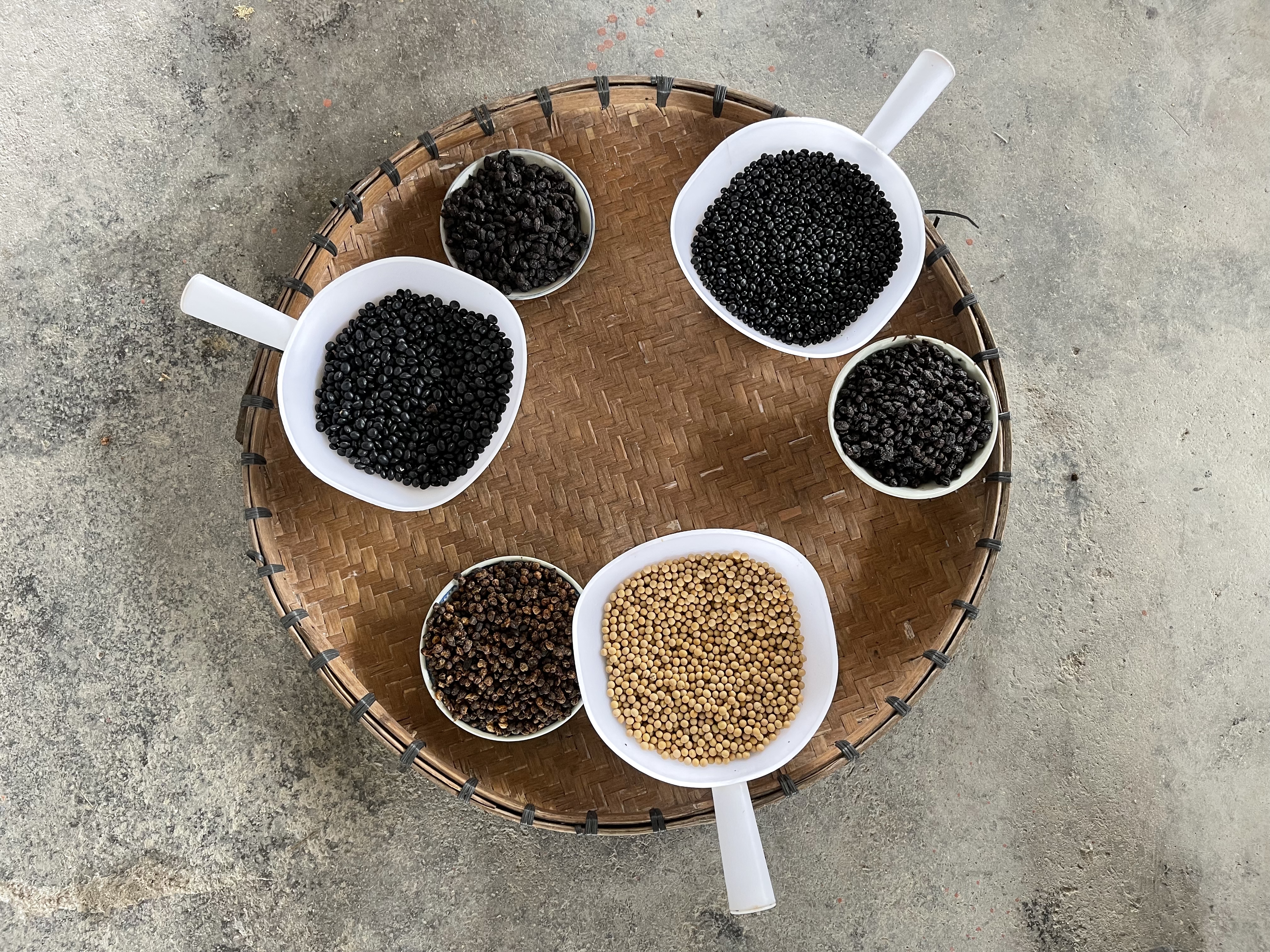 2豆子和制作出来的豆豉成品.jpg