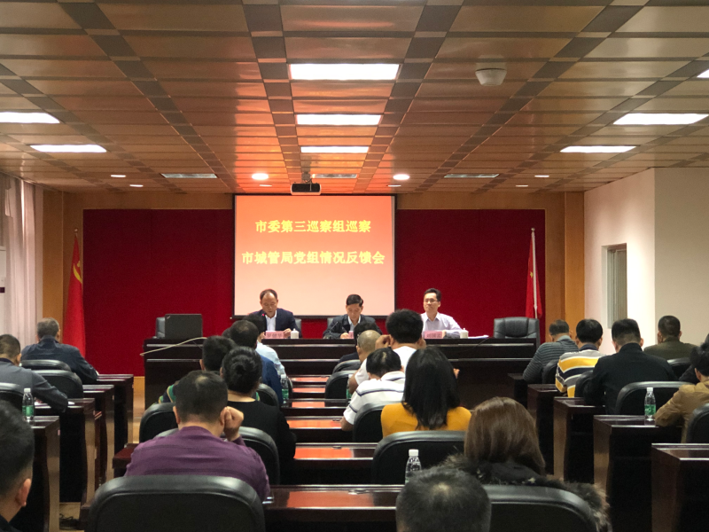 市委第三巡察组巡察市城管局党组.jpg
