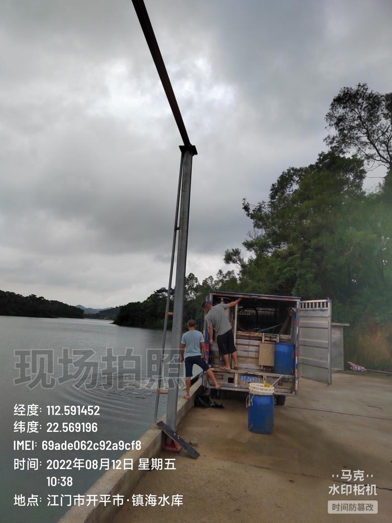 镇海水库投放鱼苗现场.jpeg
