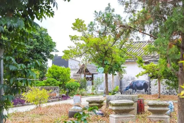 以绿美入乡景,织就美丽乡村锦绣画卷。 图片