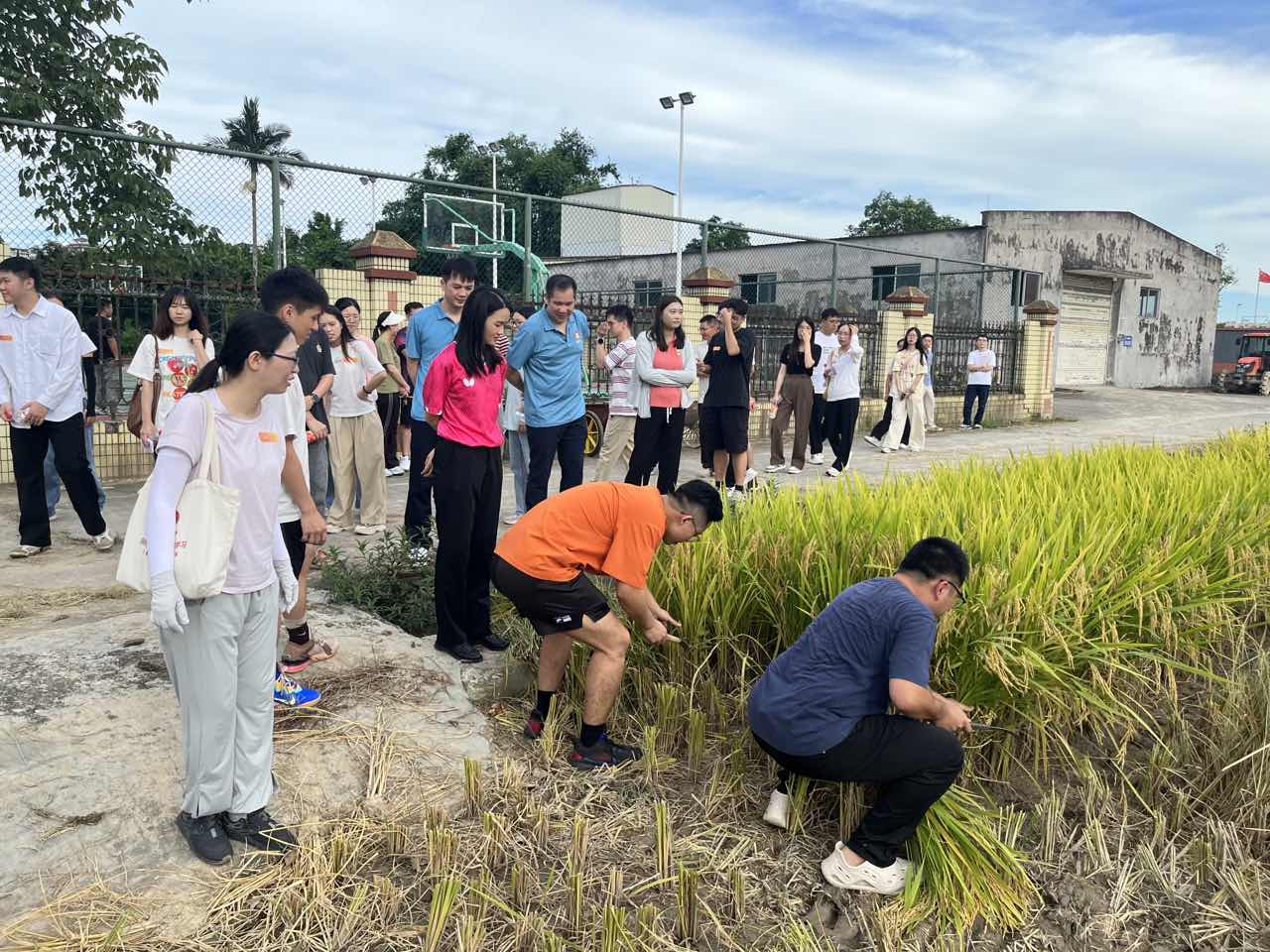 田间课堂.jpg