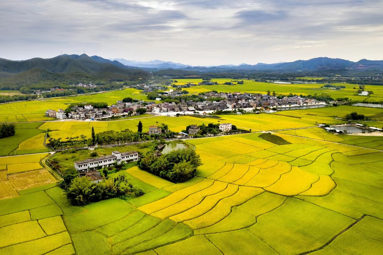 1.亚星官网
赤水镇沙洲村村容村貌全景图.jpg
