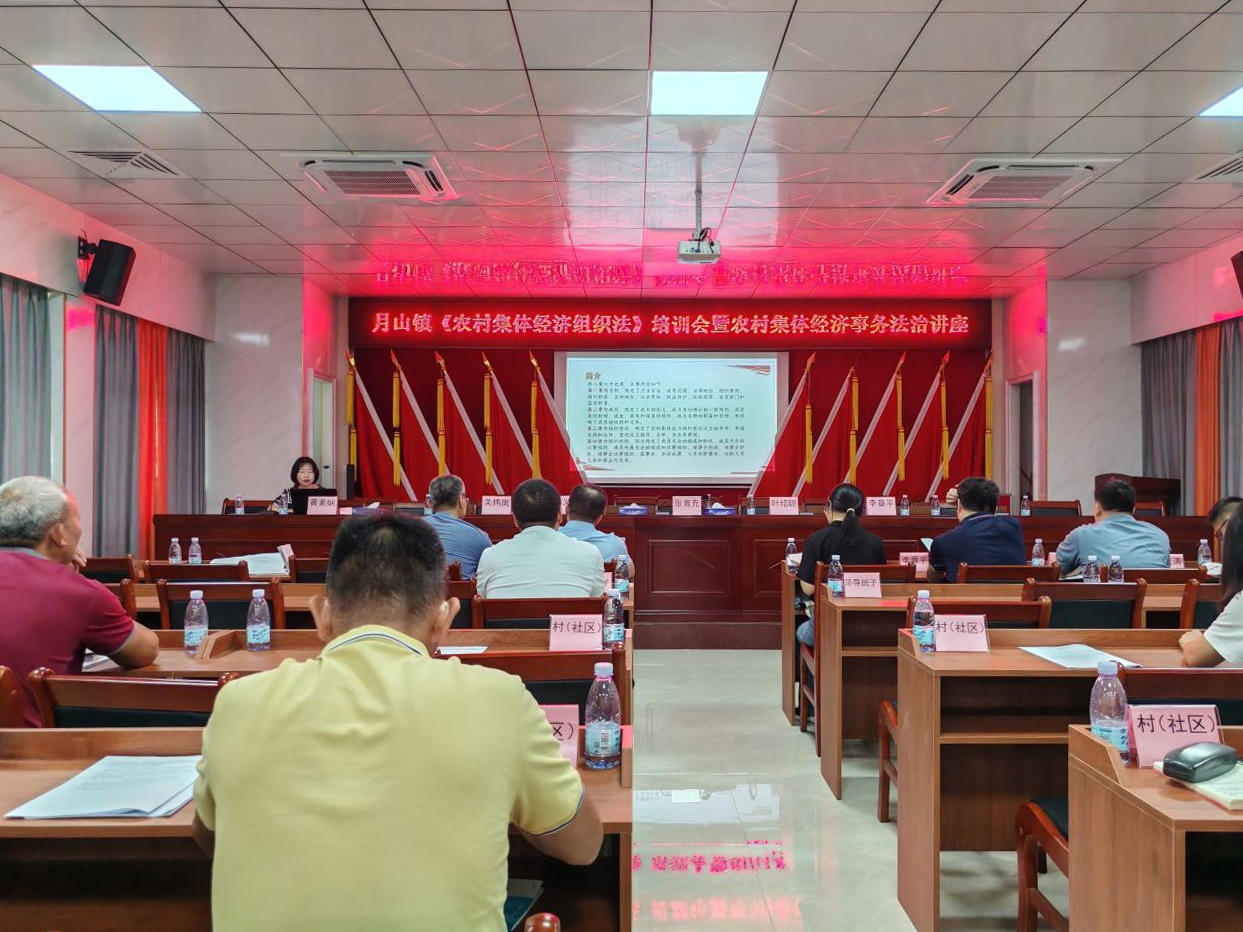 3.政府法律顾问开展讲座.png