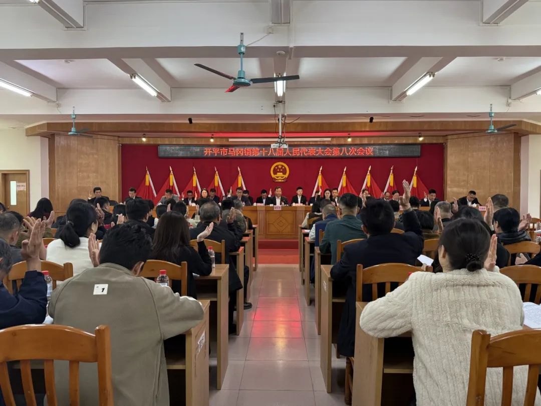 接续奋进新征程 笃行不怠谱新篇——马冈镇第十八届人民代表大会第八次会议胜利召开 border=