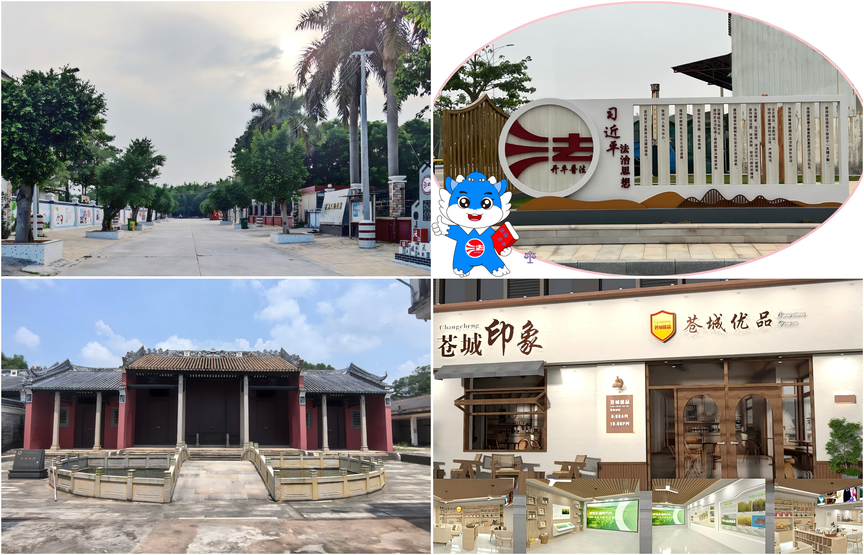 3.苍城镇.png