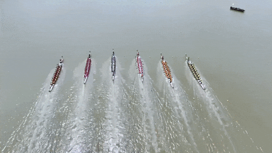 赛龙舟无字幕[00-06-18--00-06-22].gif