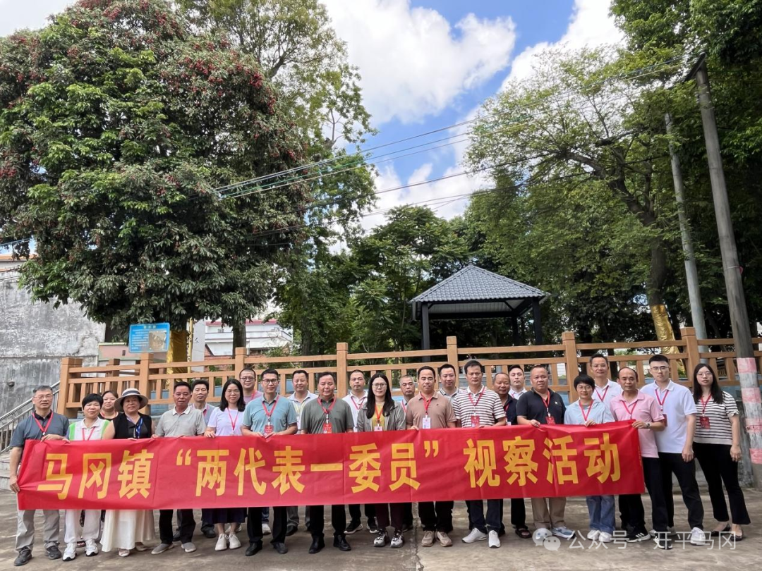 深入一线督项目 集智聚力促民生——马冈镇开展第二季度“两代表一委员”集中视察活动 border=