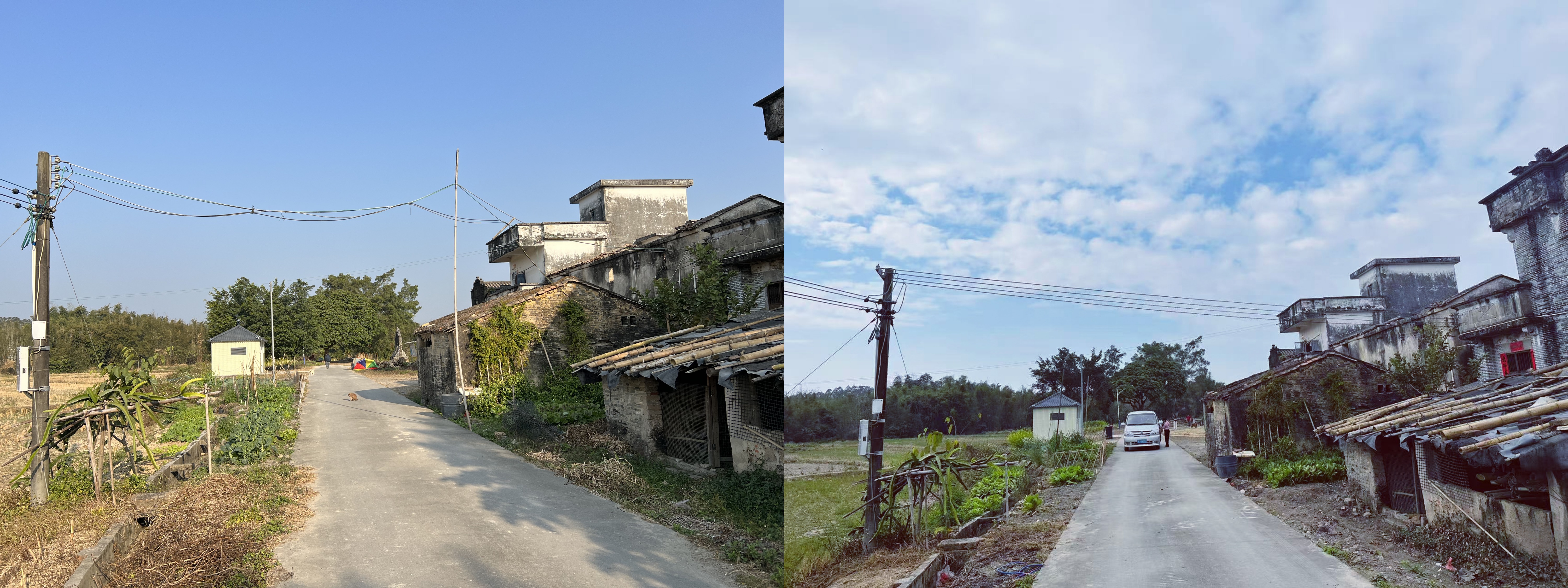 电力线路整治前后对比图.jpg