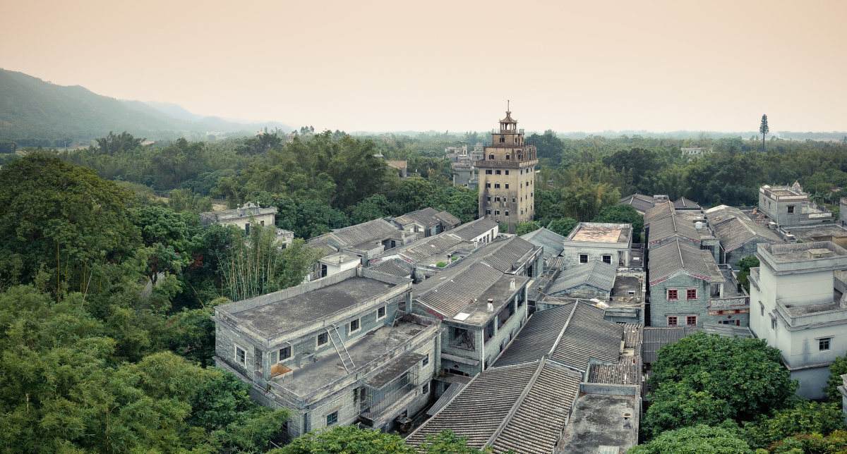 timg (1).jpg timg (1).jpg