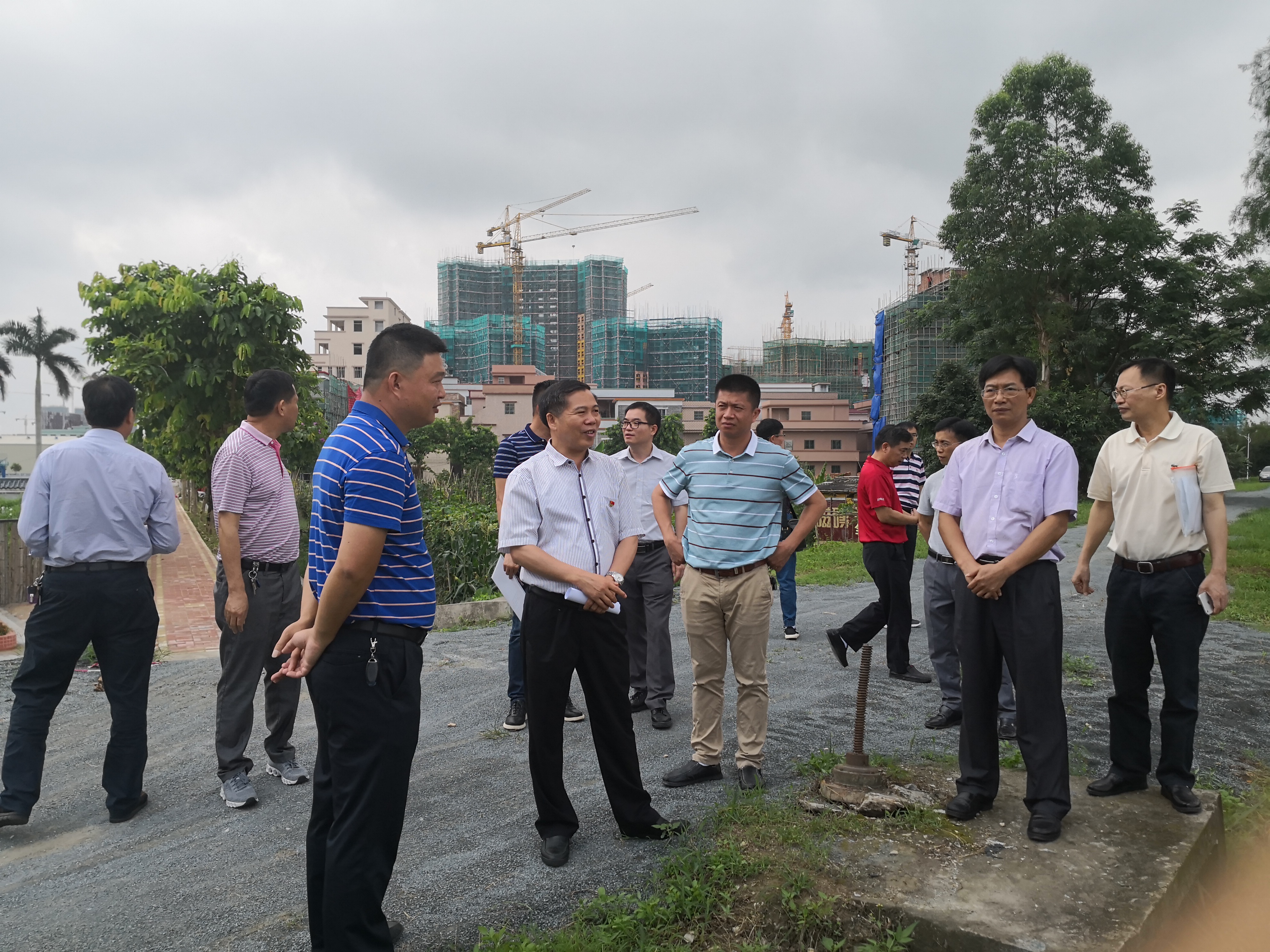 亚星官网
人大常委会调研组到长沙街道开展乡村振兴调研活动.jpg 亚星官网
人大常委会调研组到长沙街道开展乡村振兴调研活动.jpg