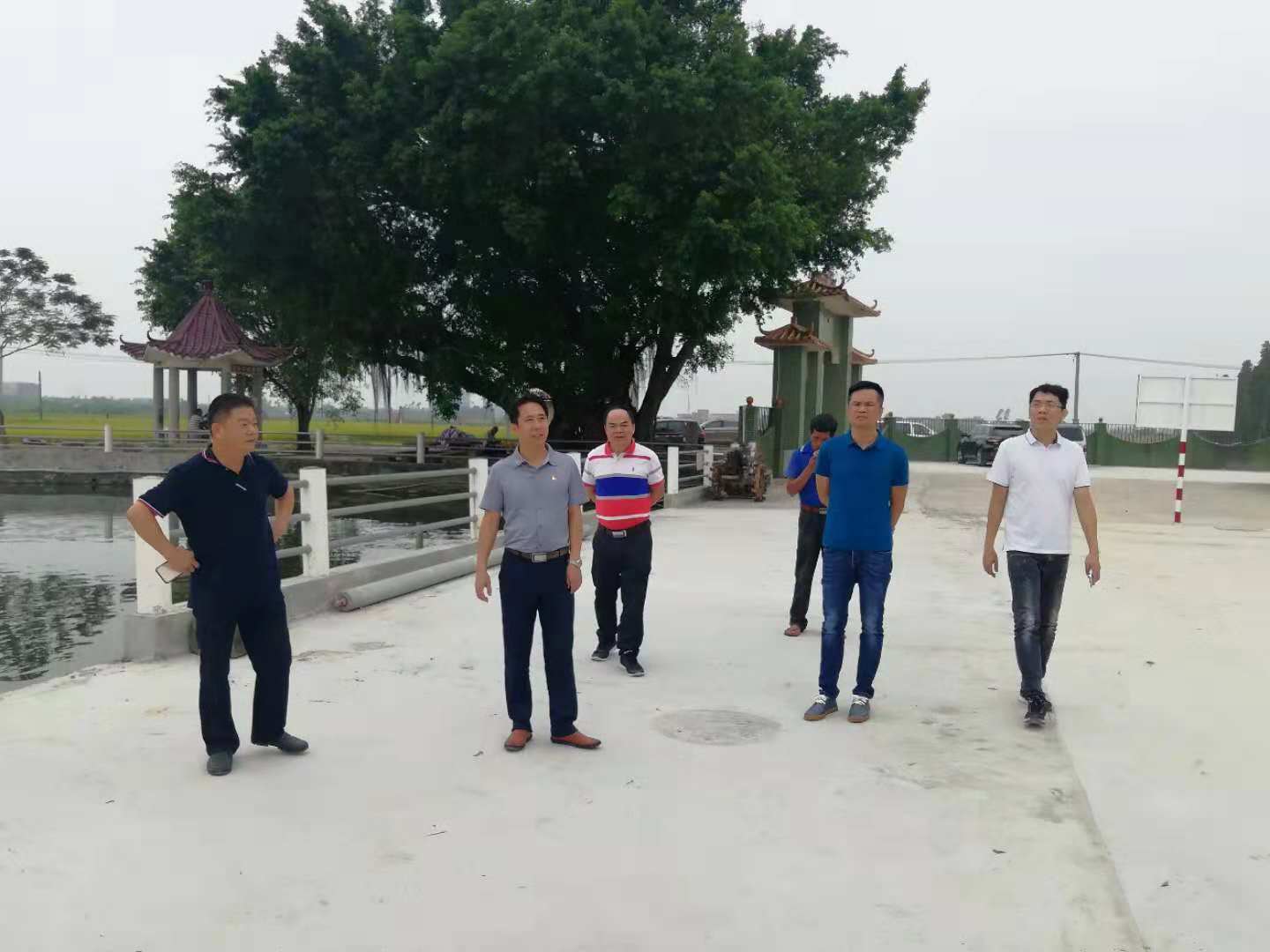 朱主任带队到平原督导三清三拆三整治工作.jpg 朱主任带队到平原督导三清三拆三整治工作.jpg