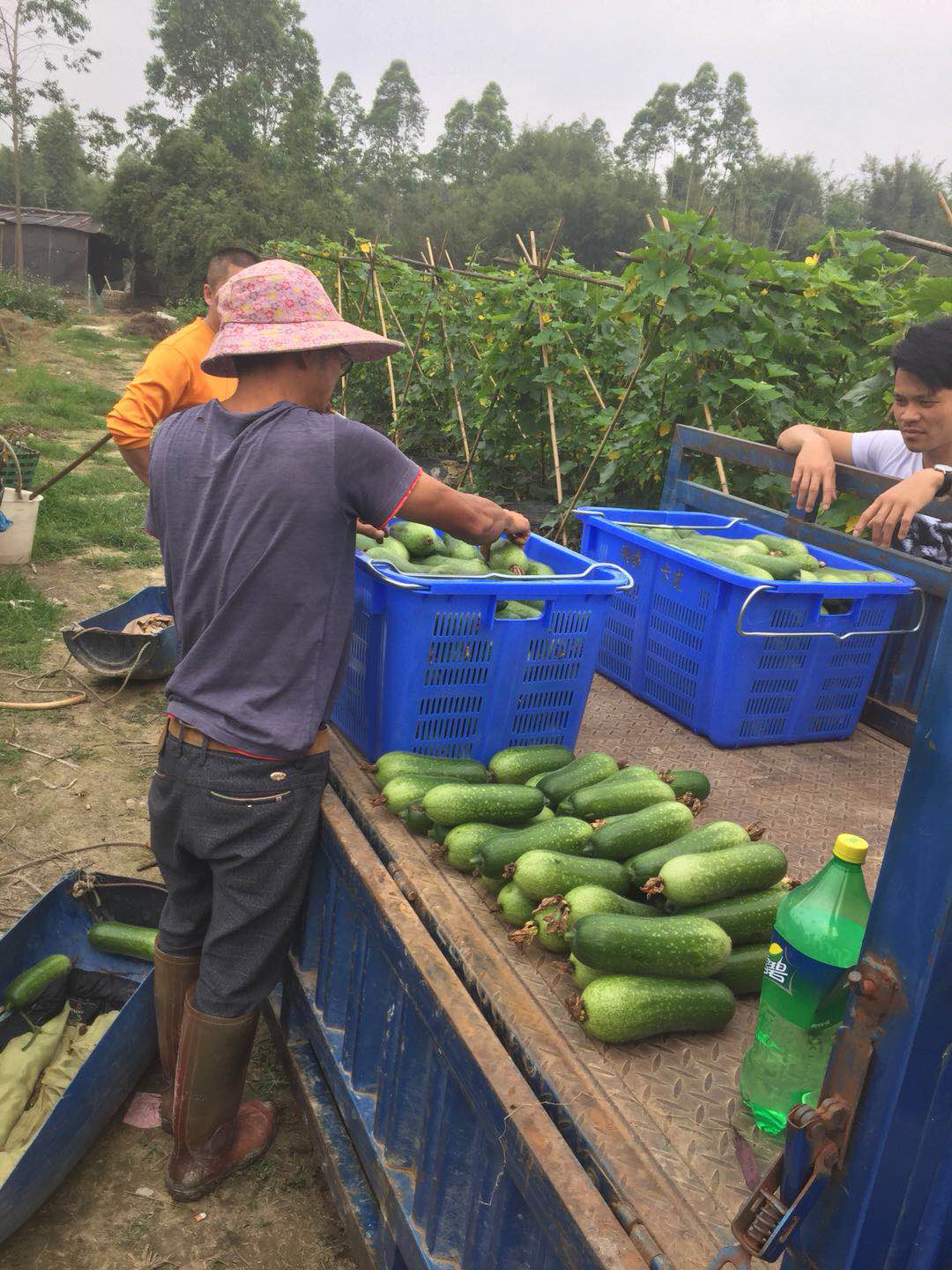 微信图片_20180419162031.jpg 微信图片_20180419162031.jpg