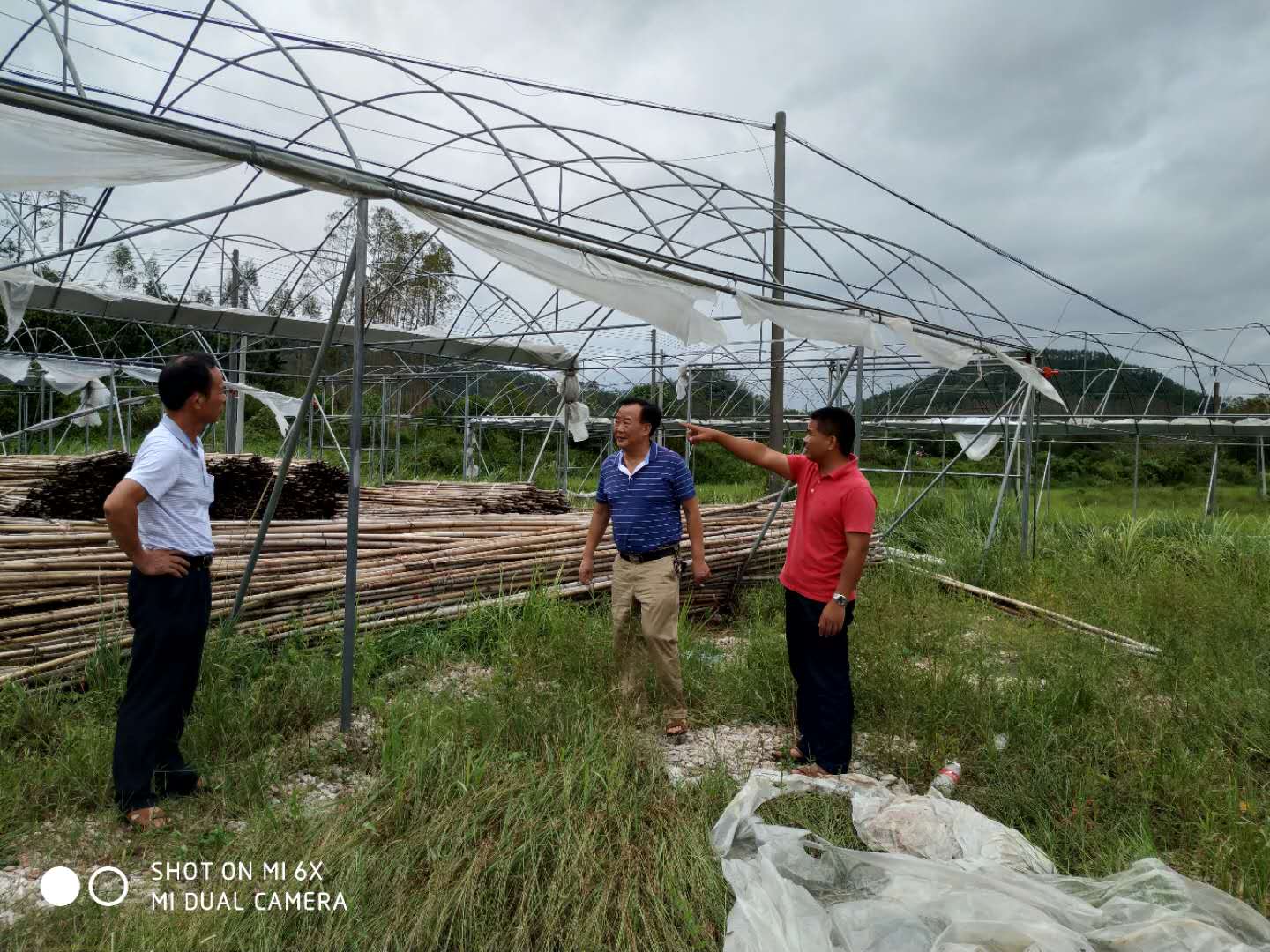 微信图片_20180920102230.jpg 微信图片_20180920102230.jpg