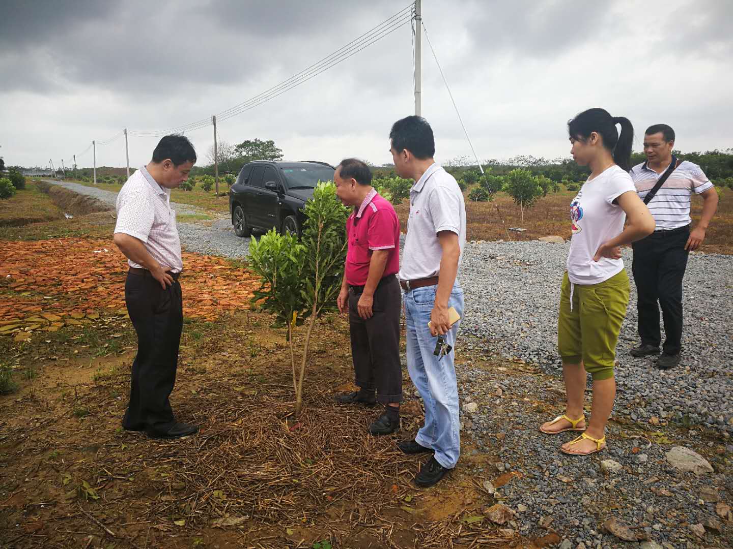 苍城.jpg 苍城.jpg