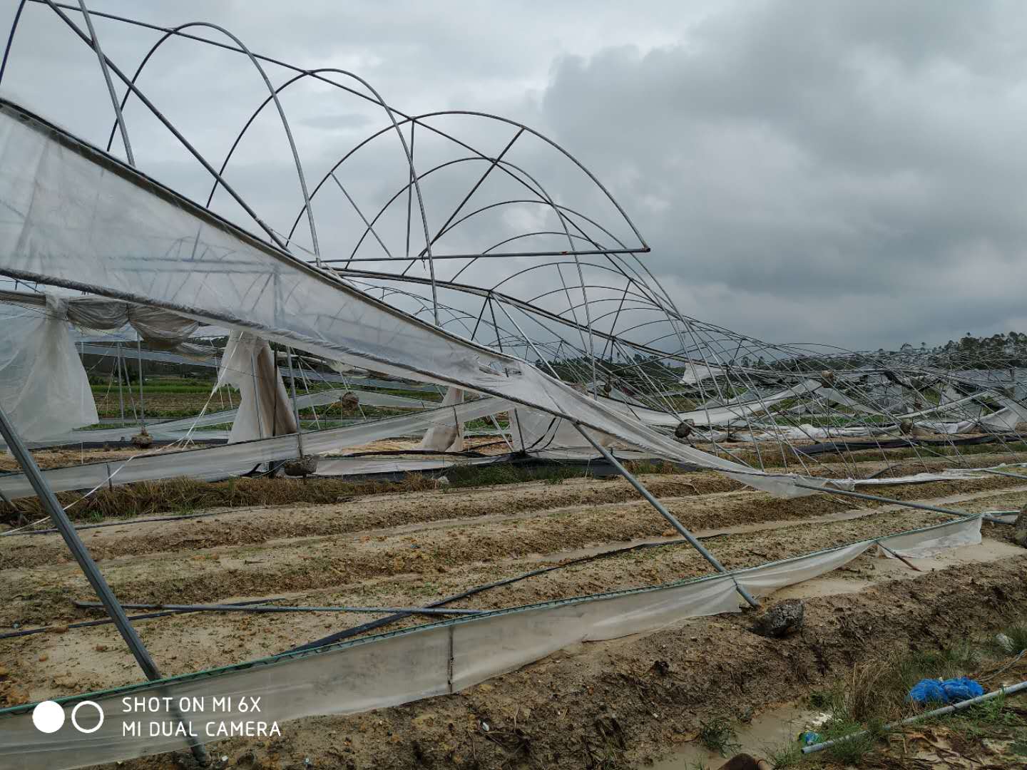 微信图片_20180920102223.jpg 微信图片_20180920102223.jpg