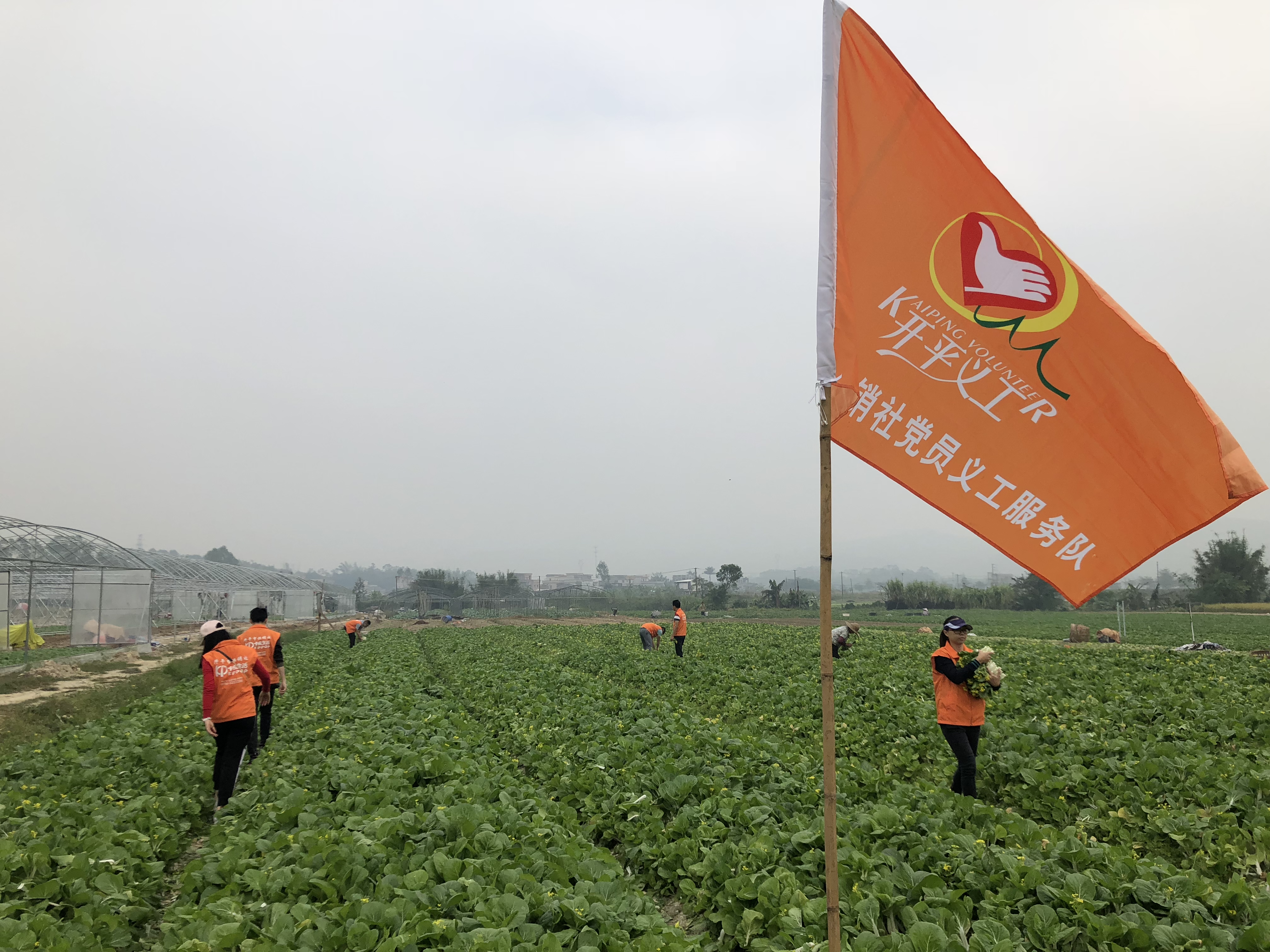 微信图片_20181109095929.jpg 微信图片_20181109095929.jpg