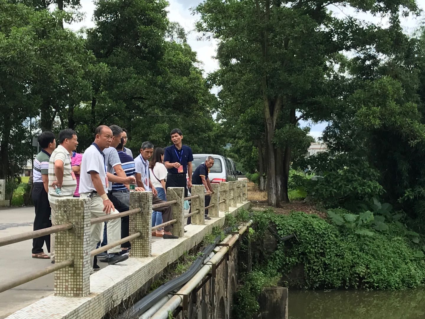 5代表巡河(高镇九驳桥).jpg 5代表巡河(高镇九驳桥).jpg