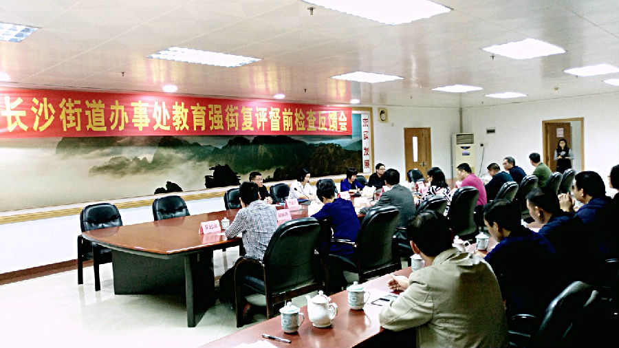2.长沙街道督前检查反馈会...jpg
