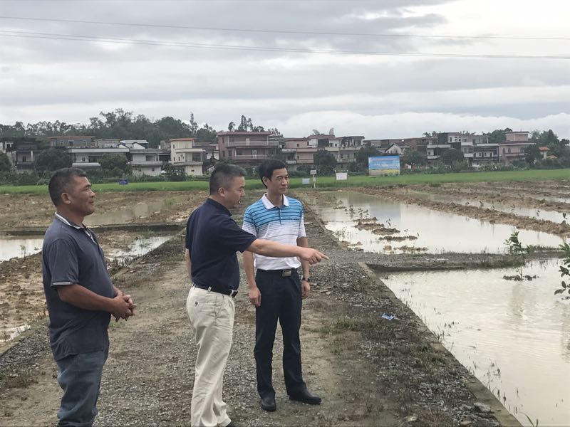 616403018301951513.jpg 616403018301951513.jpg