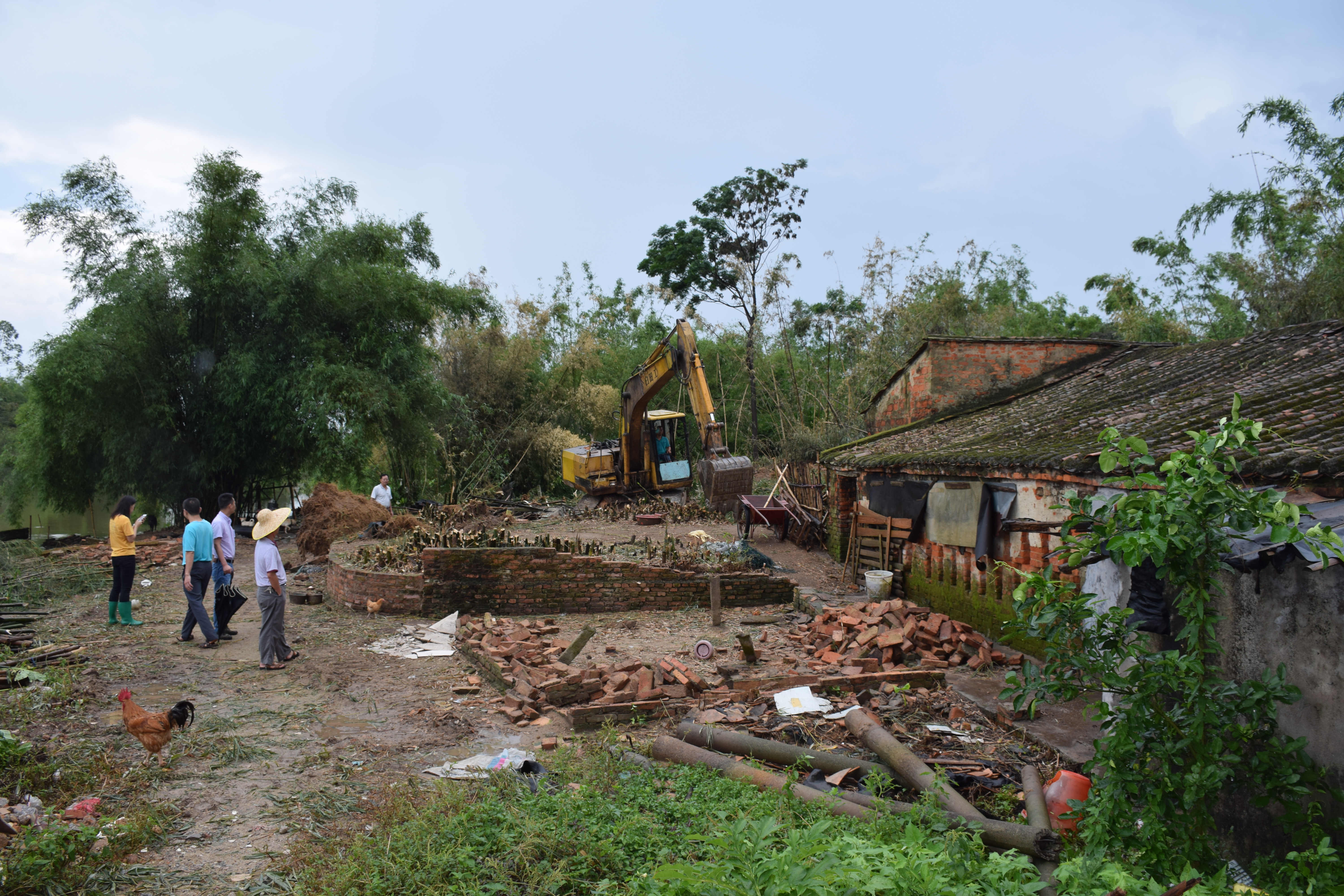 DSC_0982_副本.jpg DSC_0982_副本.jpg