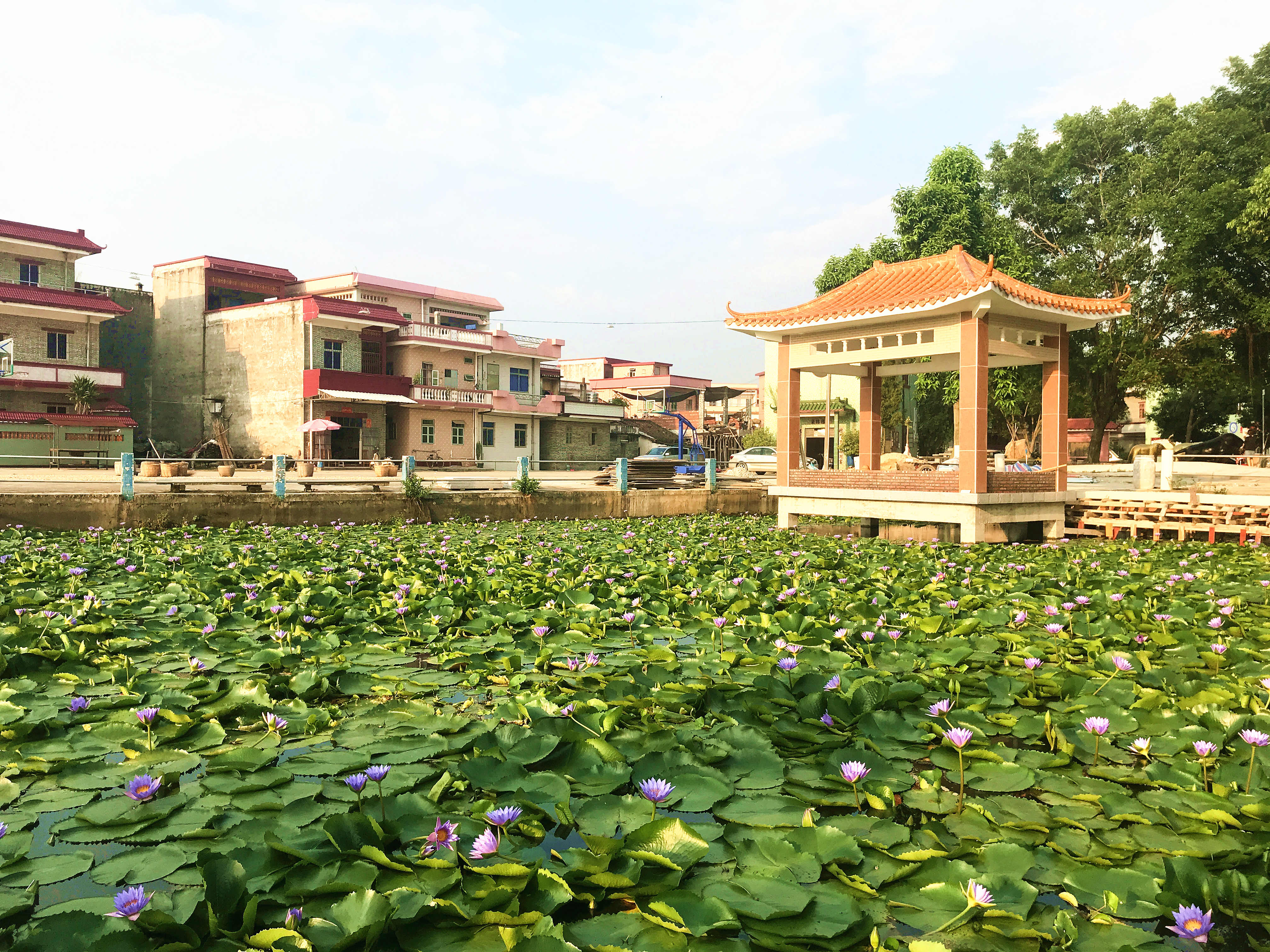 微信图片_20180718165558_副本.jpg 微信图片_20180718165558_副本.jpg