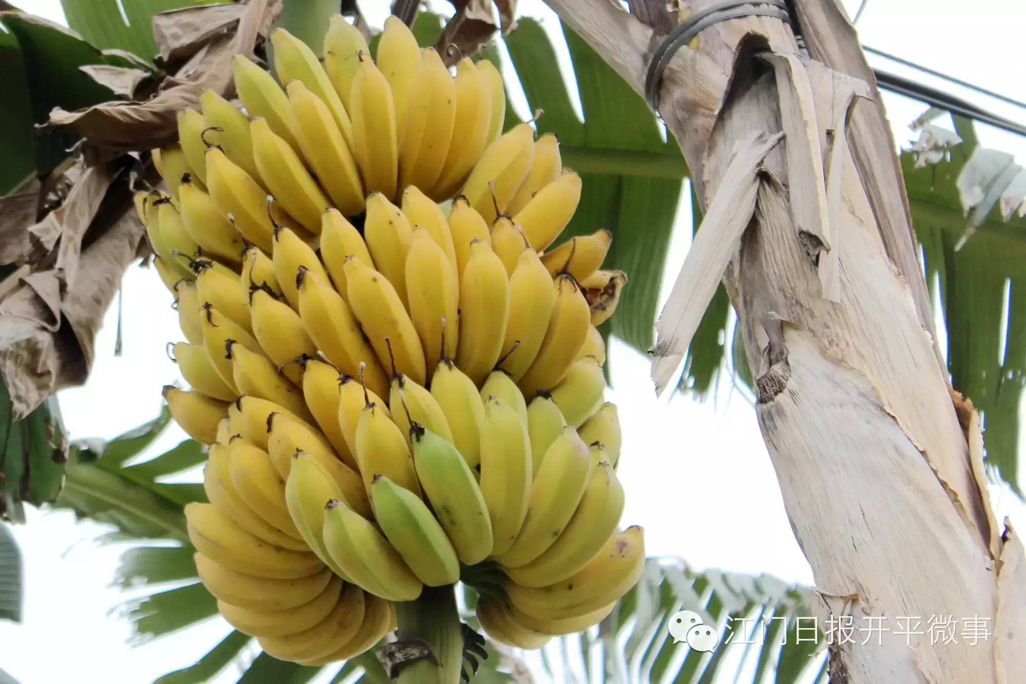 图片11.png 图片11.png