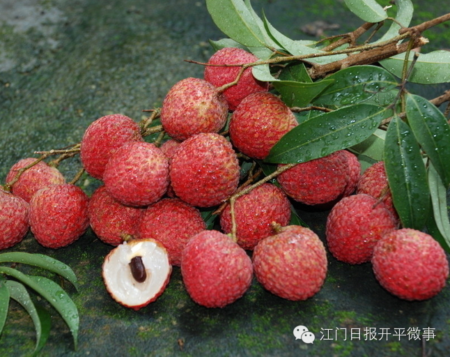 图片13.png 图片13.png