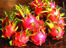 图片15.png 图片15.png