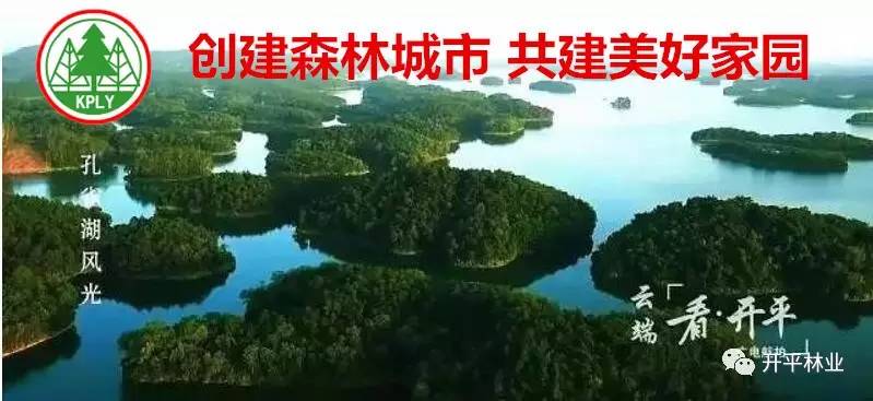 微信图片_20170619101904.jpg 微信图片_20170619101904.jpg