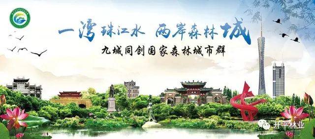 微信图片_20170619102149.jpg 微信图片_20170619102149.jpg