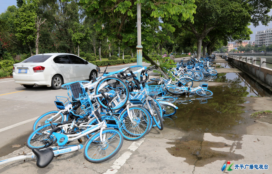 0-4 2H3A6542 - 副本 迳头海旁共享单车乱堆放.jpg 0-4 2H3A6542 - 副本 迳头海旁共享单车乱堆放.jpg